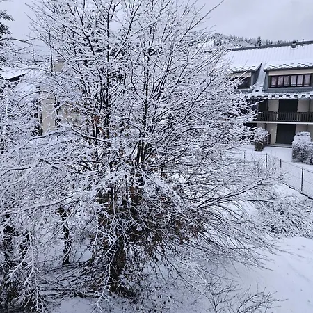 Pied Des Pistes Apartment Villard-de-Lans